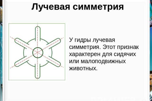 Как выводить деньги с кракена