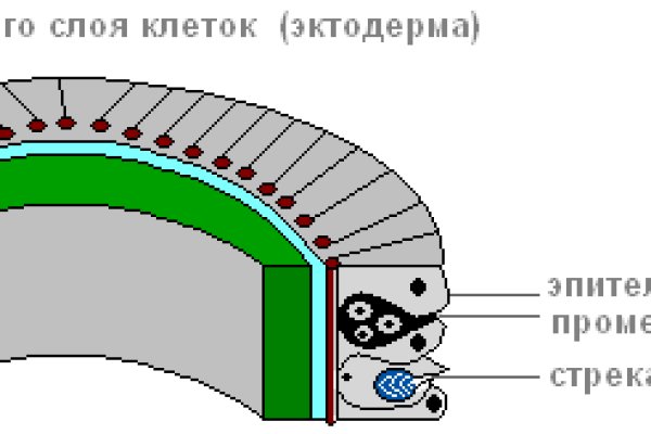 Кракен лег