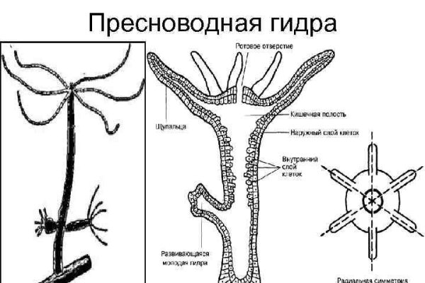 Войти даркнет